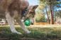 Preview: Ruffwear Morel Toy Moss Green Preview: Ruffwear Morel Toy Moss Green